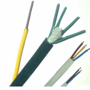 氟塑料绝缘和护套耐高温（控制）电缆